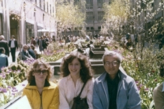 Laurie Sanders Collection018