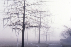 Slides from Senior Show001