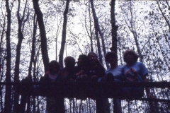 Slides from Senior Show056