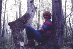 Slides from Senior Show162